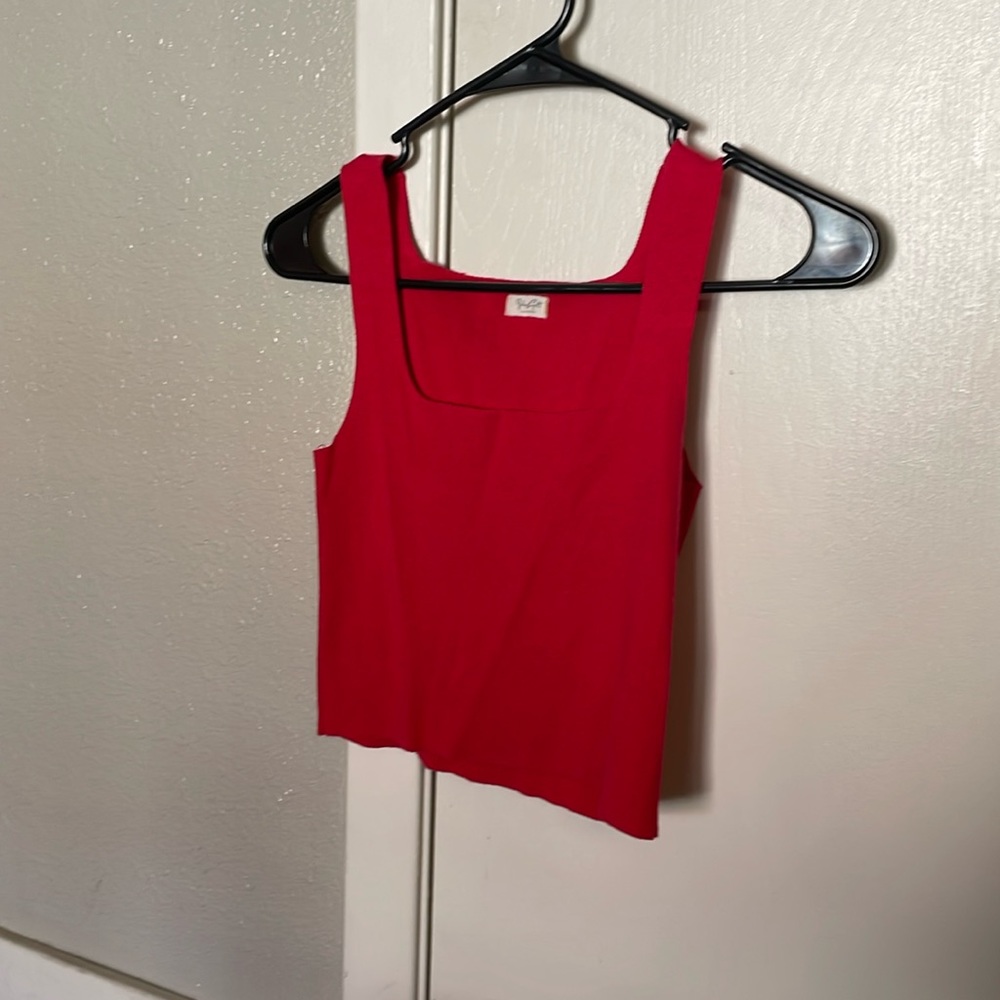 John galt crop top